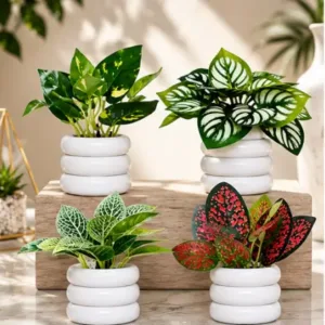 Artificial Plants for Home Decor – Pack of 4 ( default, OS )